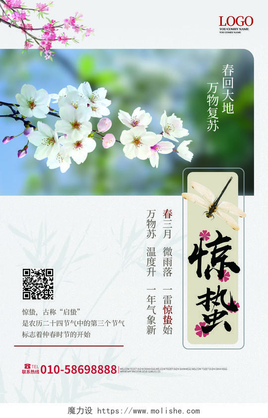 浅灰色小清新惊蛰中国传统二十四节气惊蛰海报